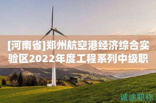 [河南省]鄭州航空港經(jīng)濟綜合實驗區(qū)2022年度工程系列中級職稱評審?fù)ㄟ^人員公示