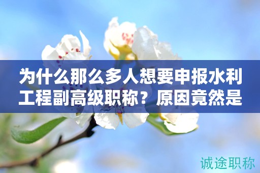 為什么那么多人想要申報(bào)水利工程副高級(jí)職稱？原因竟然是這些