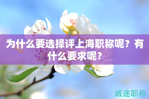 為什么要選擇評(píng)上海職稱呢？有什么要求呢？
