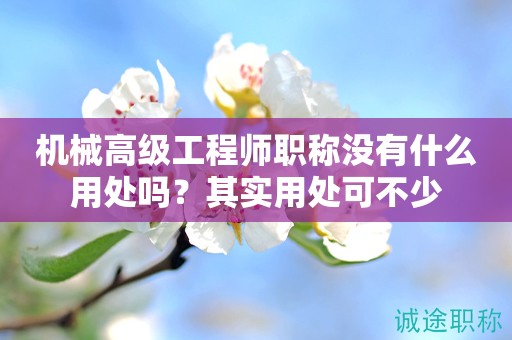 機械高級工程師職稱沒有什么用處嗎？其實用處可不少