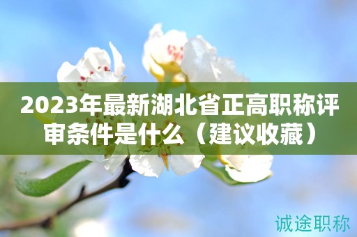 2023年最新湖北省正高職稱評審條件是什么（建議收藏）