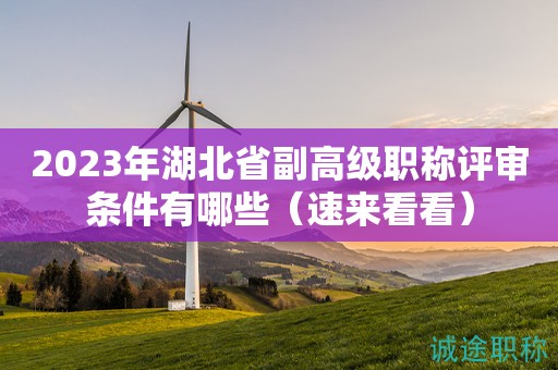 2023年湖北省副高級(jí)職稱(chēng)評(píng)審條件有哪些（速來(lái)看看）