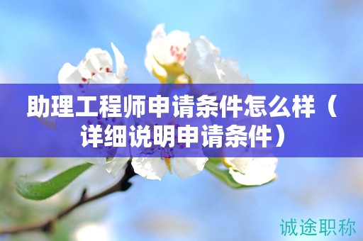 助理工程師申請條件怎么樣（詳細說明申請條件）