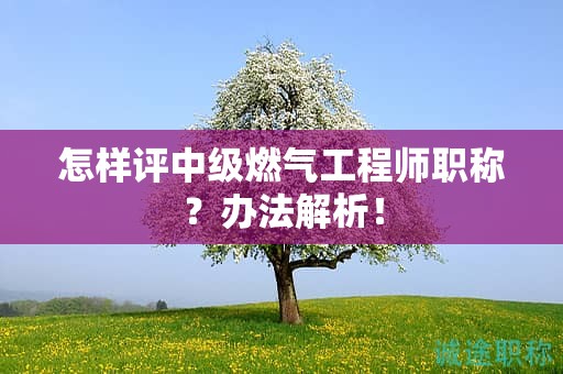 怎樣評(píng)中級(jí)燃?xì)夤こ處熉毞Q？辦法解析！