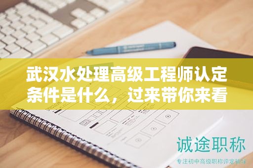 武漢水處理高級工程師認定條件是什么，過來帶你來看看