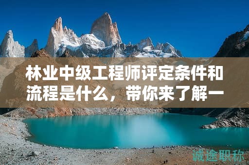 林業(yè)中級(jí)工程師評(píng)定條件和流程是什么，帶你來了解一下