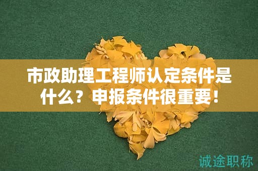 2024年市政助理工程師認定條件是什么？申報條件很重要！