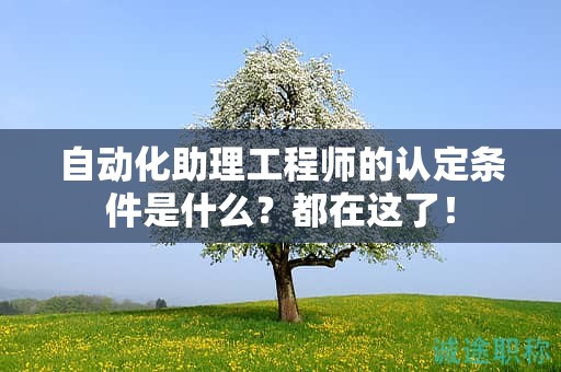 2024年自動化助理工程師的認(rèn)定條件是什么？都在這了！