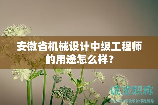 安徽省機械設(shè)計中級工程師的用途怎么樣？