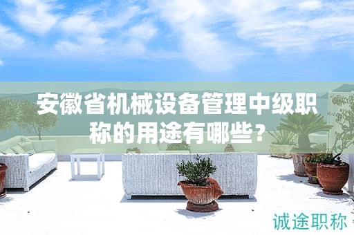 安徽省機(jī)械設(shè)備管理中級(jí)職稱的用途有哪些？