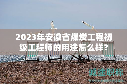 2023年安徽省煤炭工程初級工程師的用途怎么樣？