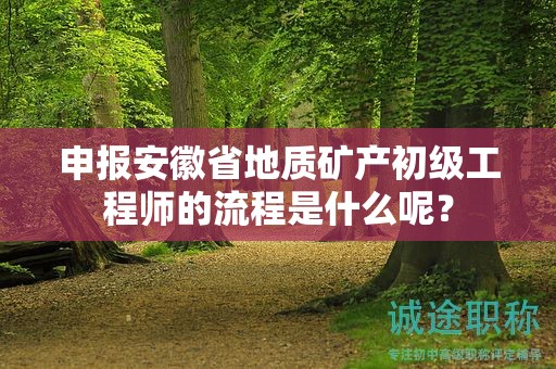 申報安徽省地質(zhì)礦產(chǎn)初級工程師的流程是什么呢？