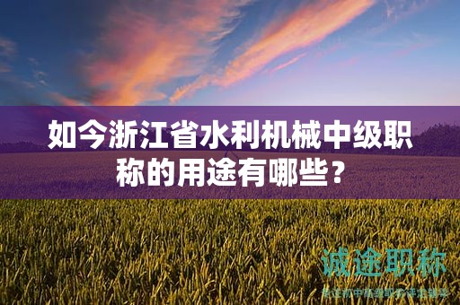 如今浙江省水利機械中級職稱的用途有哪些？