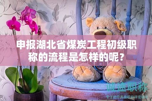 申報(bào)湖北省煤炭工程初級(jí)職稱的流程是怎樣的呢？