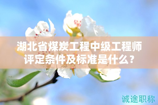 湖北省煤炭工程中級(jí)工程師評(píng)定條件及標(biāo)準(zhǔn)是什么？