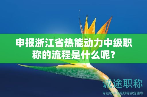 申報(bào)浙江省熱能動(dòng)力中級(jí)職稱的流程是什么呢？