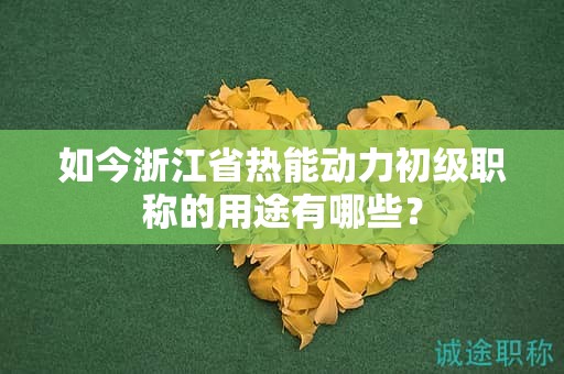 如今浙江省熱能動(dòng)力初級(jí)職稱的用途有哪些？