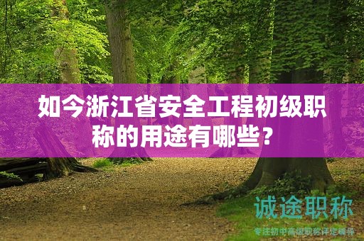 如今浙江省安全工程初級(jí)職稱的用途有哪些？