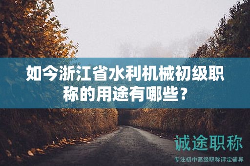 如今浙江省水利機(jī)械初級(jí)職稱的用途有哪些？