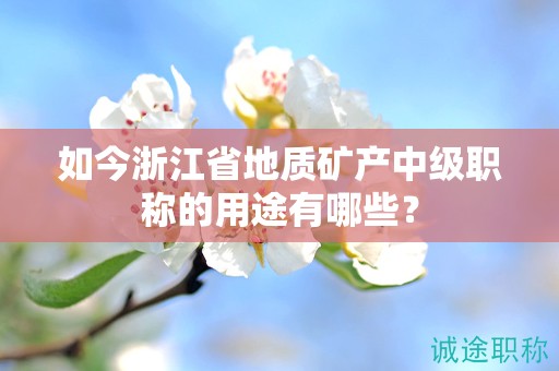 如今浙江省地質(zhì)礦產(chǎn)中級(jí)職稱的用途有哪些？
