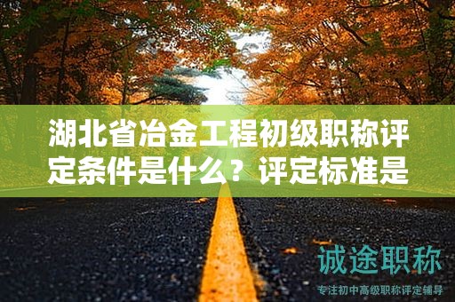 湖北省冶金工程初級職稱評定條件是什么？評定標(biāo)準(zhǔn)是什么？