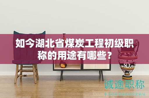 如今湖北省煤炭工程初級(jí)職稱(chēng)的用途有哪些？