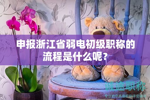 申報(bào)浙江省弱電初級(jí)職稱的流程是什么呢？