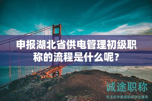 申報湖北省供電管理初級職稱的流程是什么呢？