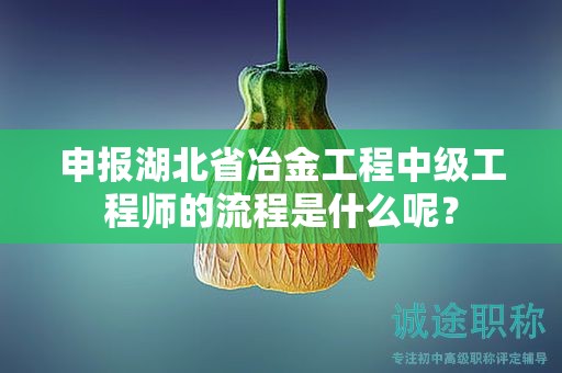 申報(bào)湖北省冶金工程中級(jí)工程師的流程是什么呢？