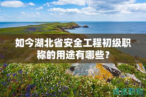 如今湖北省安全工程初級(jí)職稱的用途有哪些？