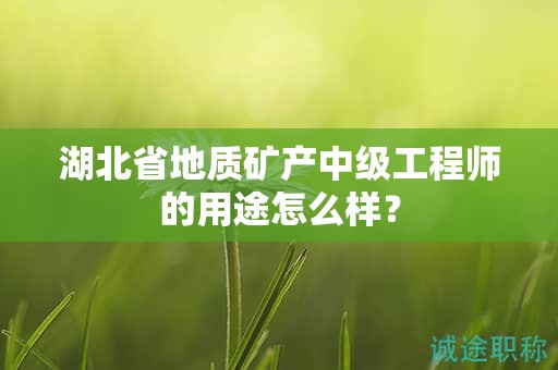 湖北省地質(zhì)礦產(chǎn)中級工程師的用途怎么樣？