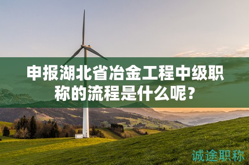申報(bào)湖北省冶金工程中級(jí)職稱的流程是什么呢？