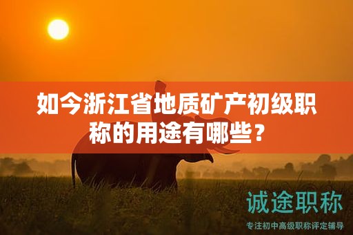 如今浙江省地質(zhì)礦產(chǎn)初級(jí)職稱的用途有哪些？