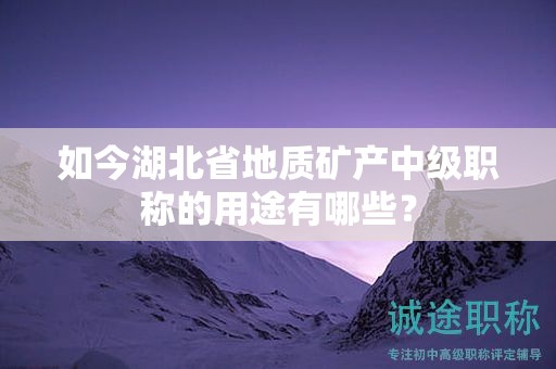 如今湖北省地質(zhì)礦產(chǎn)中級職稱的用途有哪些？