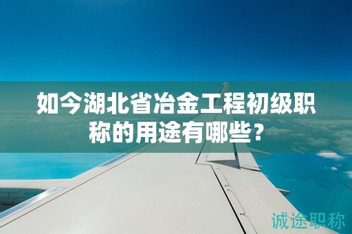 如今湖北省冶金工程初級職稱的用途有哪些？