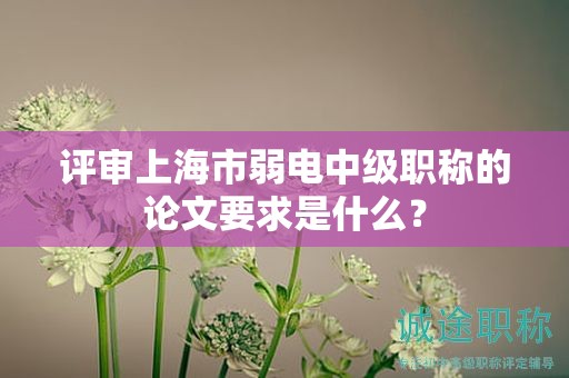 評審上海市弱電中級職稱的論文要求是什么？