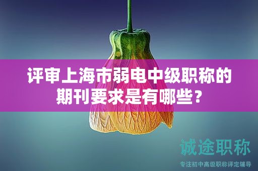 評(píng)審上海市弱電中級(jí)職稱的期刊要求是有哪些？