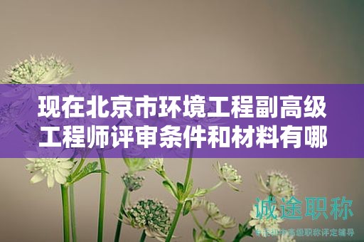 現(xiàn)在北京市環(huán)境工程副高級(jí)工程師評(píng)審條件和材料有哪些？