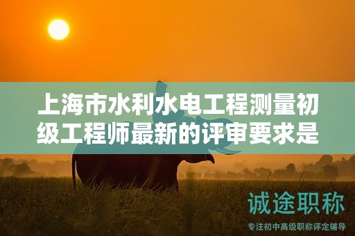 上海市水利水電工程測量初級工程師最新的評審要求是什么，如何準(zhǔn)備？