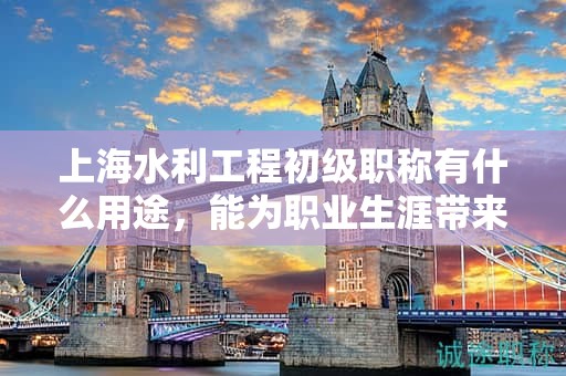 上海水利工程初級職稱有什么用途，能為職業(yè)生涯帶來哪些優(yōu)勢？