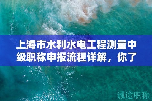 上海市水利水電工程測(cè)量中級(jí)職稱申報(bào)流程詳解，你了解多少？