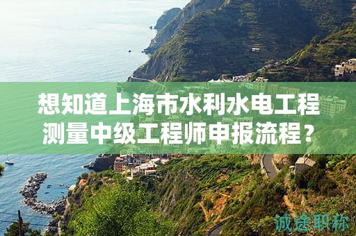 想知道上海市水利水電工程測(cè)量中級(jí)工程師申報(bào)流程？這篇指南將詳細(xì)解答
