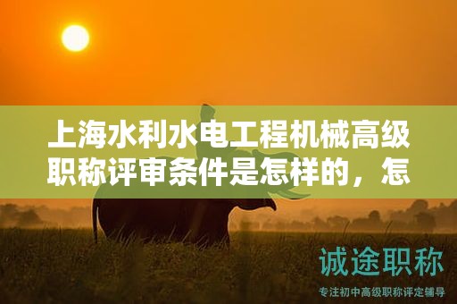 上海水利水電工程機(jī)械高級(jí)職稱評(píng)審條件是怎樣的，怎樣做才能順利通過(guò)？
