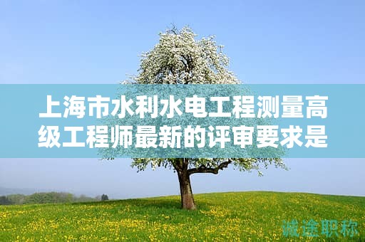 上海市水利水電工程測量高級工程師最新的評審要求是什么，如何為之做準備？