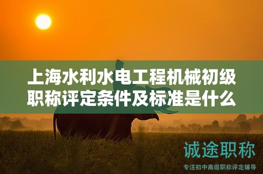 上海水利水電工程機(jī)械初級(jí)職稱評(píng)定條件及標(biāo)準(zhǔn)是什么，如何達(dá)到？