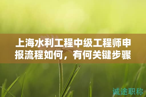 上海水利工程中級工程師申報(bào)流程如何，有何關(guān)鍵步驟？