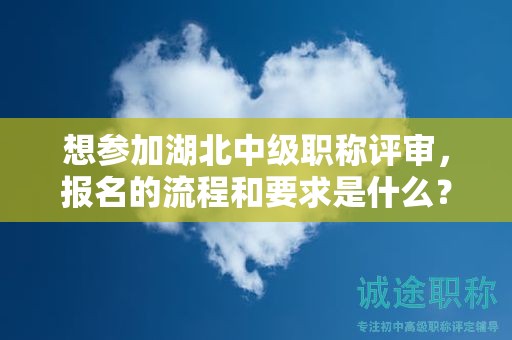 想?yún)⒓雍敝屑壜毞Q評審，報名的流程和要求是什么？