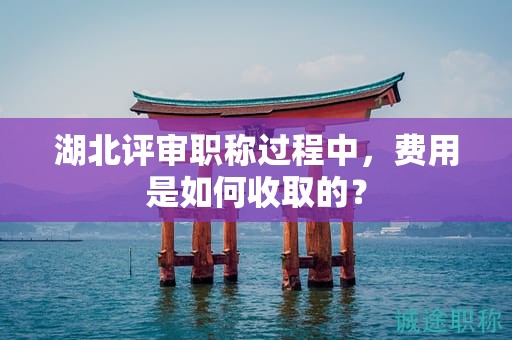 湖北評審職稱過程中，費用是如何收取的？