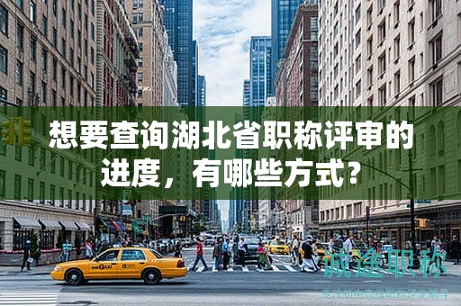 想要查詢湖北省職稱評審的進(jìn)度，有哪些方式？
