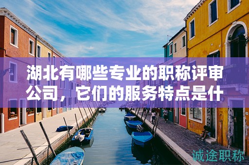 湖北有哪些專(zhuān)業(yè)的職稱(chēng)評(píng)審公司，它們的服務(wù)特點(diǎn)是什么？